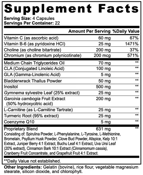 Lion's Mane Supplement